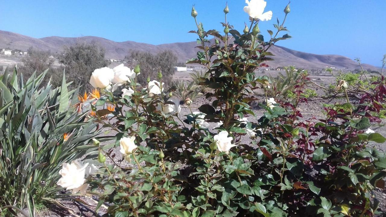 Finca Los Rosales Lajita Kültér fotó