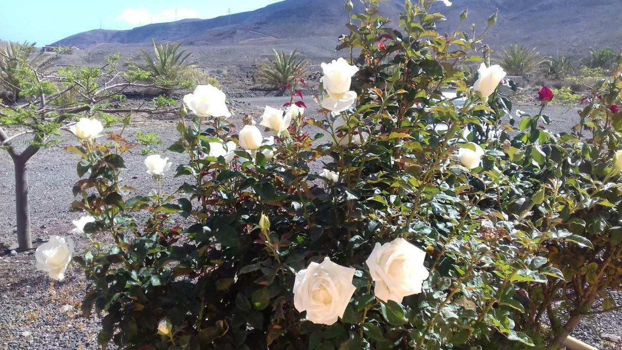 Finca Los Rosales Lajita Kültér fotó