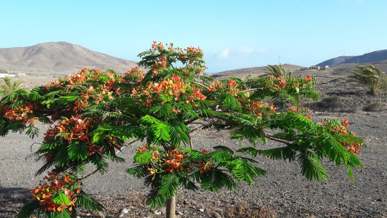 Finca Los Rosales Lajita Kültér fotó